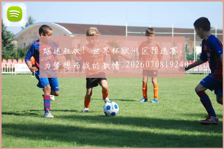 球迷狂欢！世界杯欧洲区预选赛，为梦想而战的激情_20260708192403