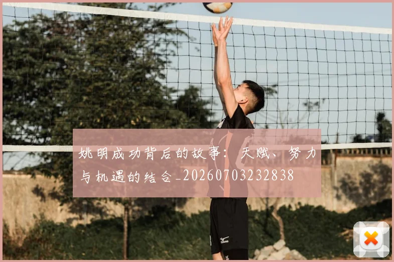 姚明成功背后的故事:天赋、努力与机遇的结合_20260703232838