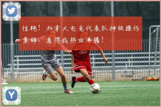 惊艳！加拿大电竞代表队神级操作集锦，看得我热血沸腾！